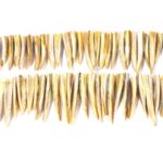 NACAR EN TIRA DE CACHOS