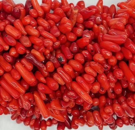 705110 CORAL PALITO - Imagen 1