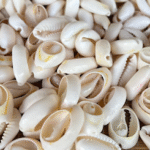 CARACOLES