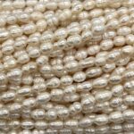 PERLA ARROZ CON RAYAS  6-7 MM