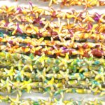 ESTRELLA DE COLORES